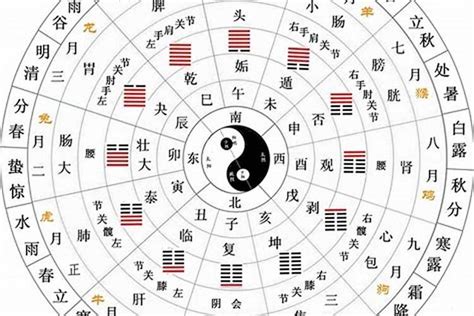 天干地支 五行 對照表|天干地支五行对照表，了解传统文化的钥匙